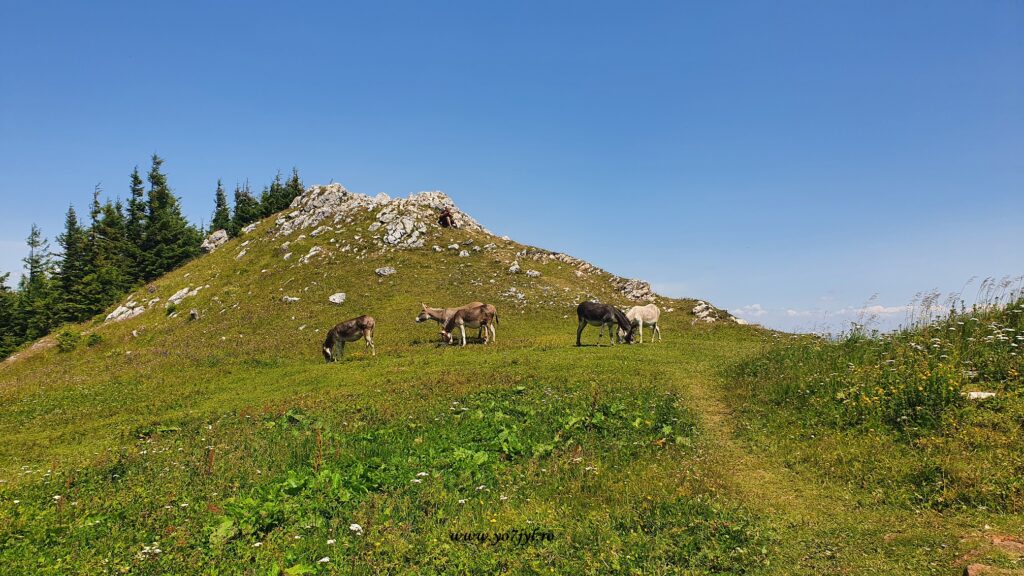 Despre destinații de vacanță cu timp nemăsurat