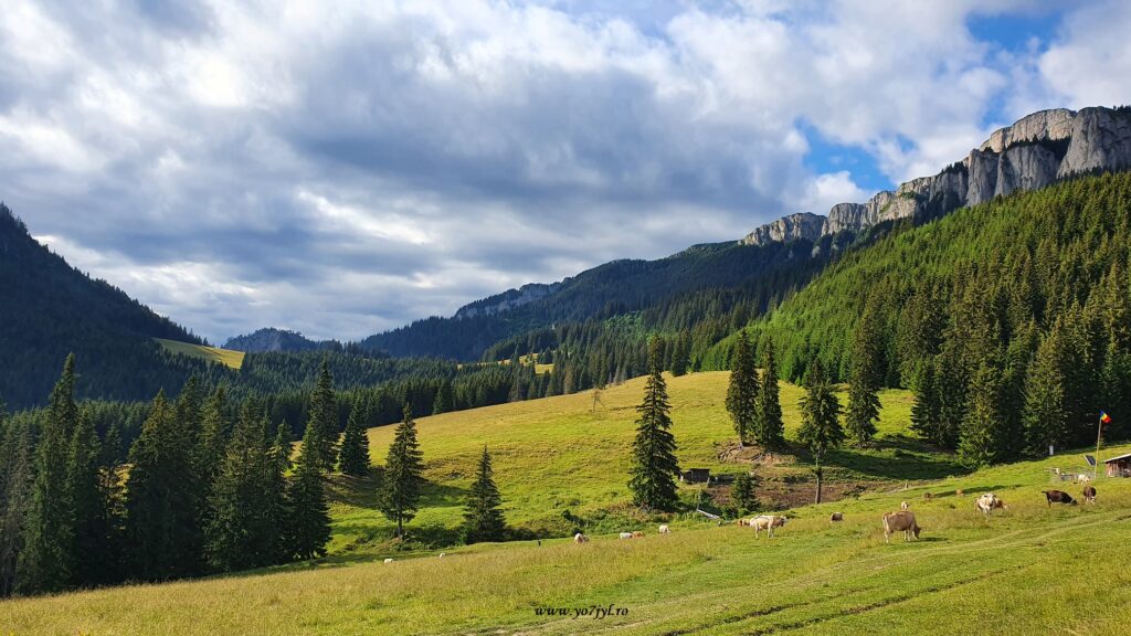 Zile de vară în Parcul Național Ceahlău