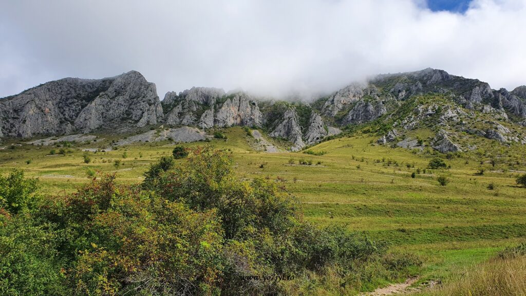 Cu bicicleta prin capitalele de pe malul Dunării