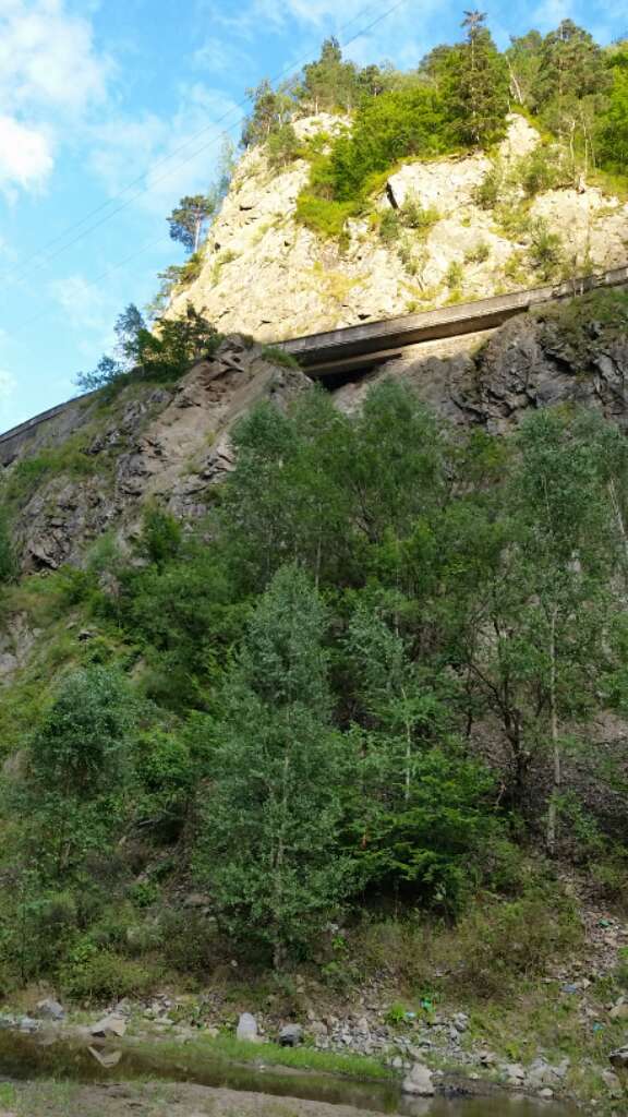 Tabara de vara YO&KFA- Cetatea Poienari