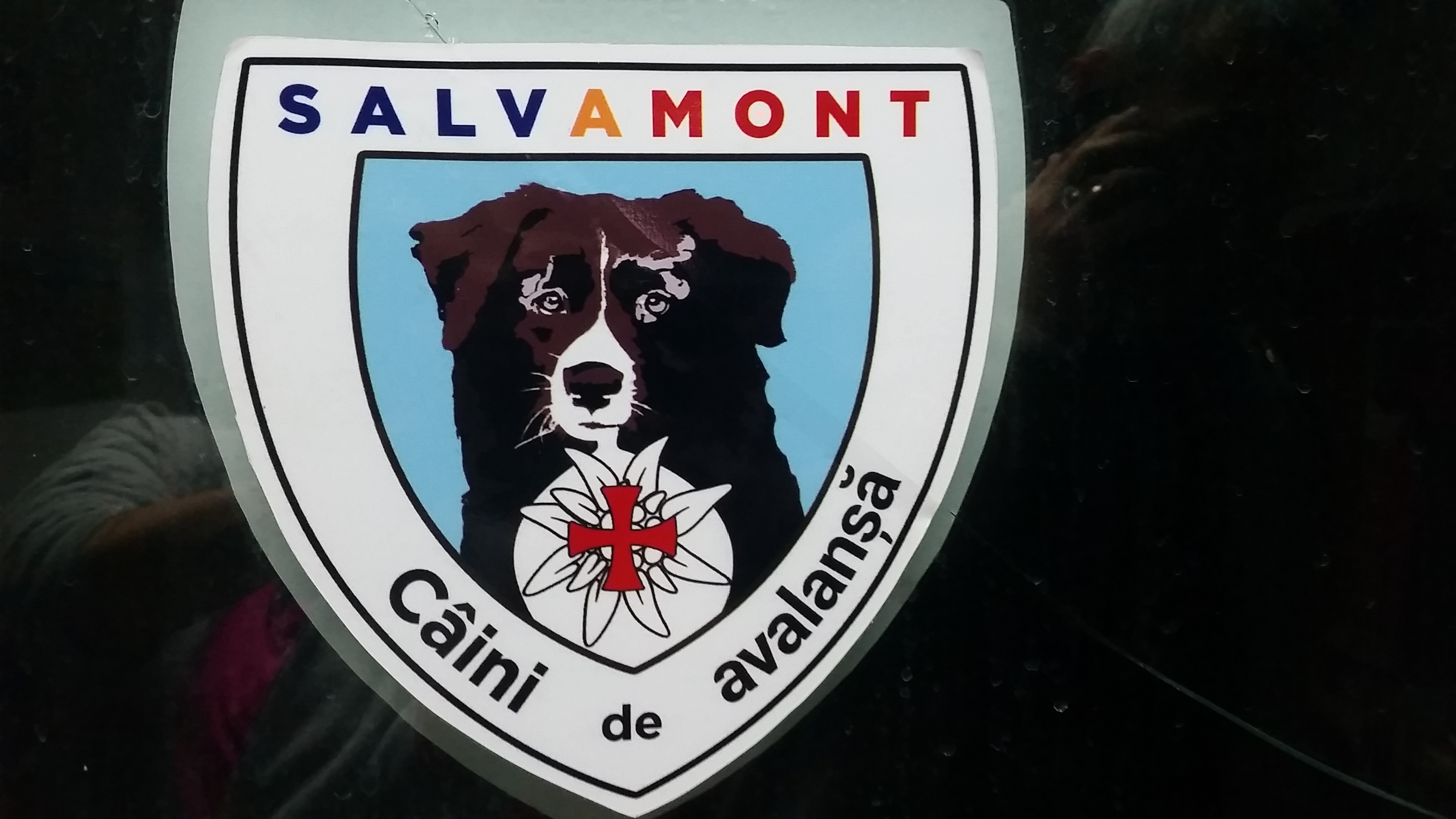 Drapelul României la Cota 2000 Salvamont - Argeș