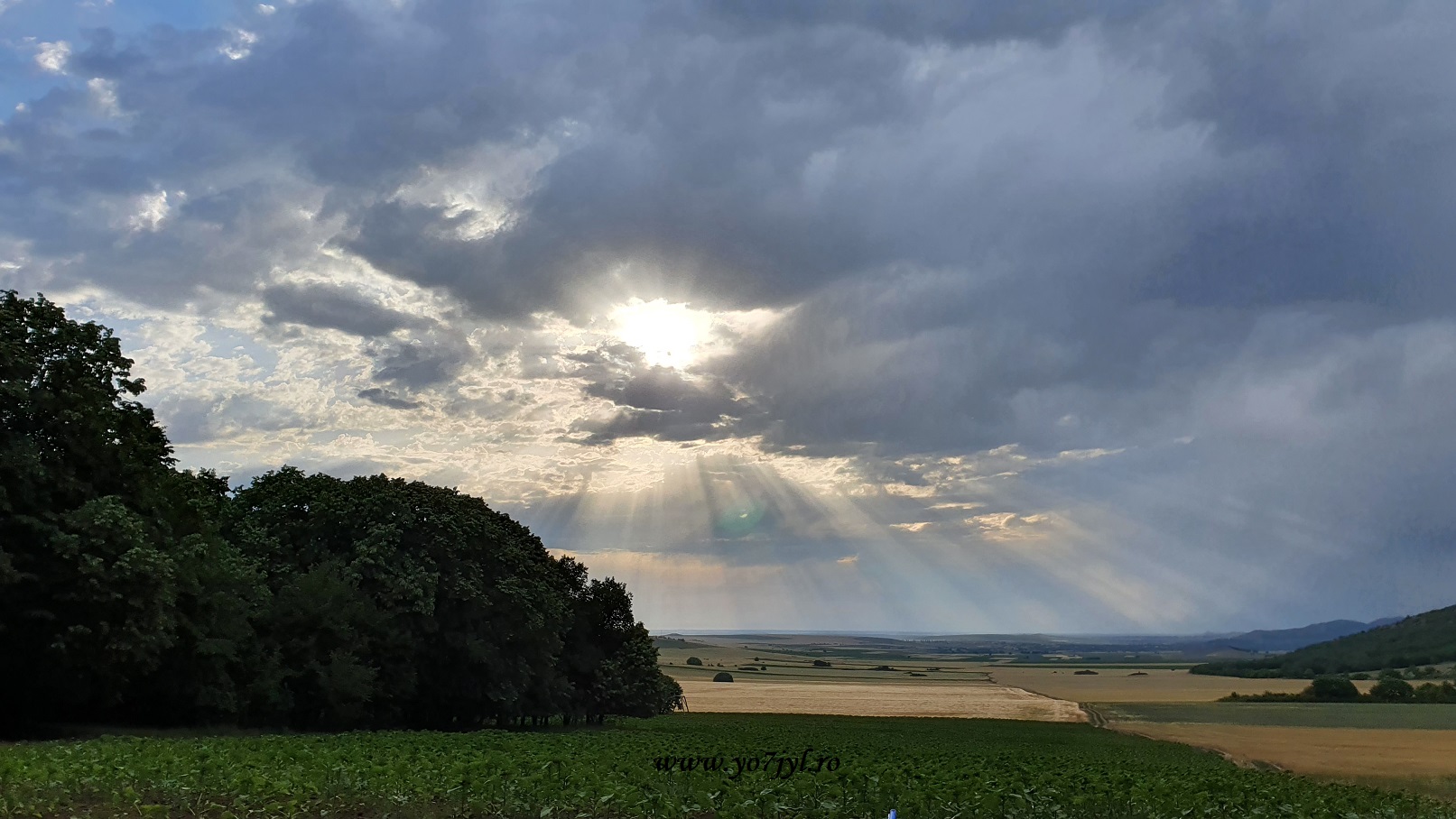Arome de iunie prin Munții Măcinului
