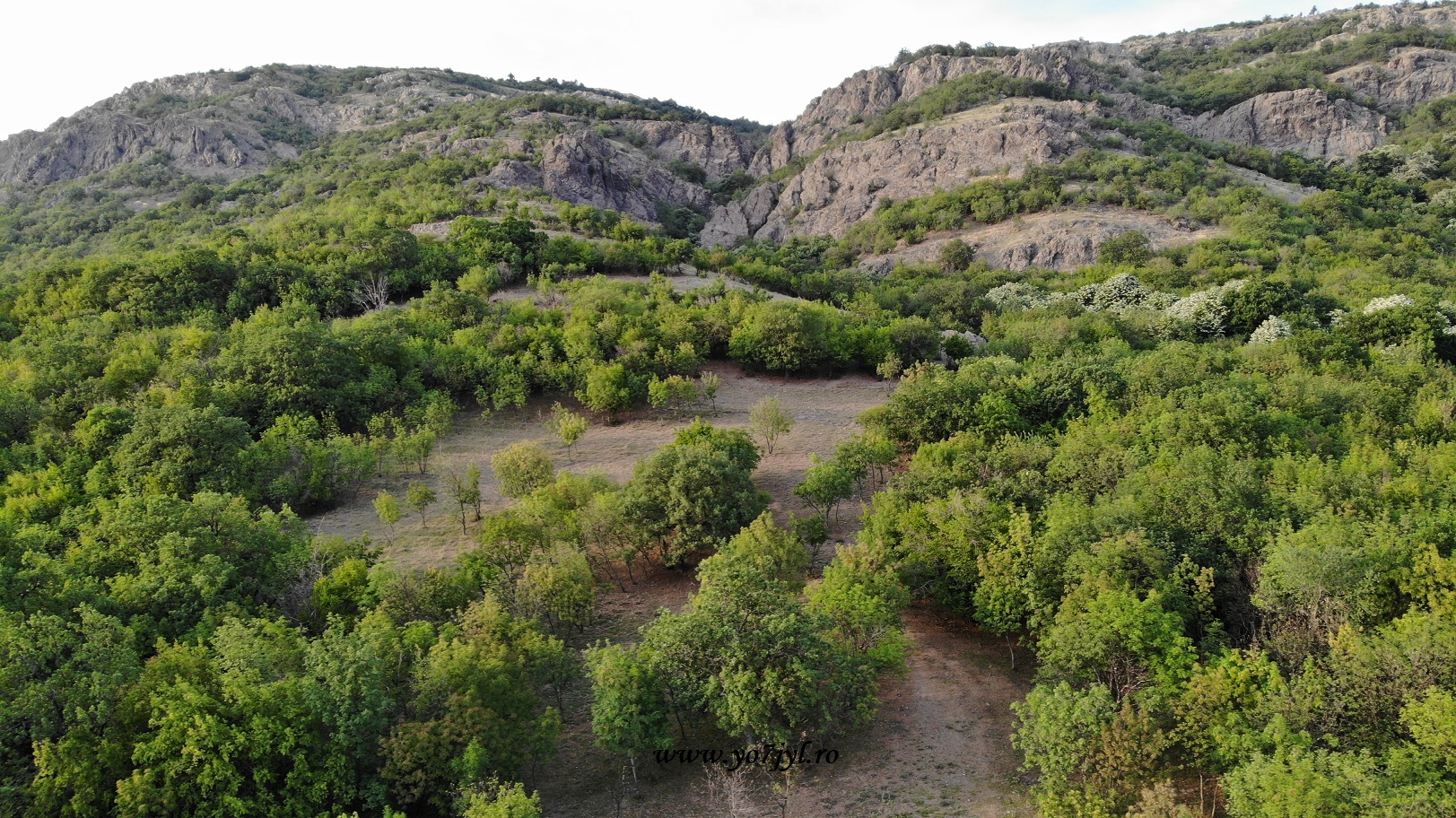 Arome de iunie prin Munții Măcinului