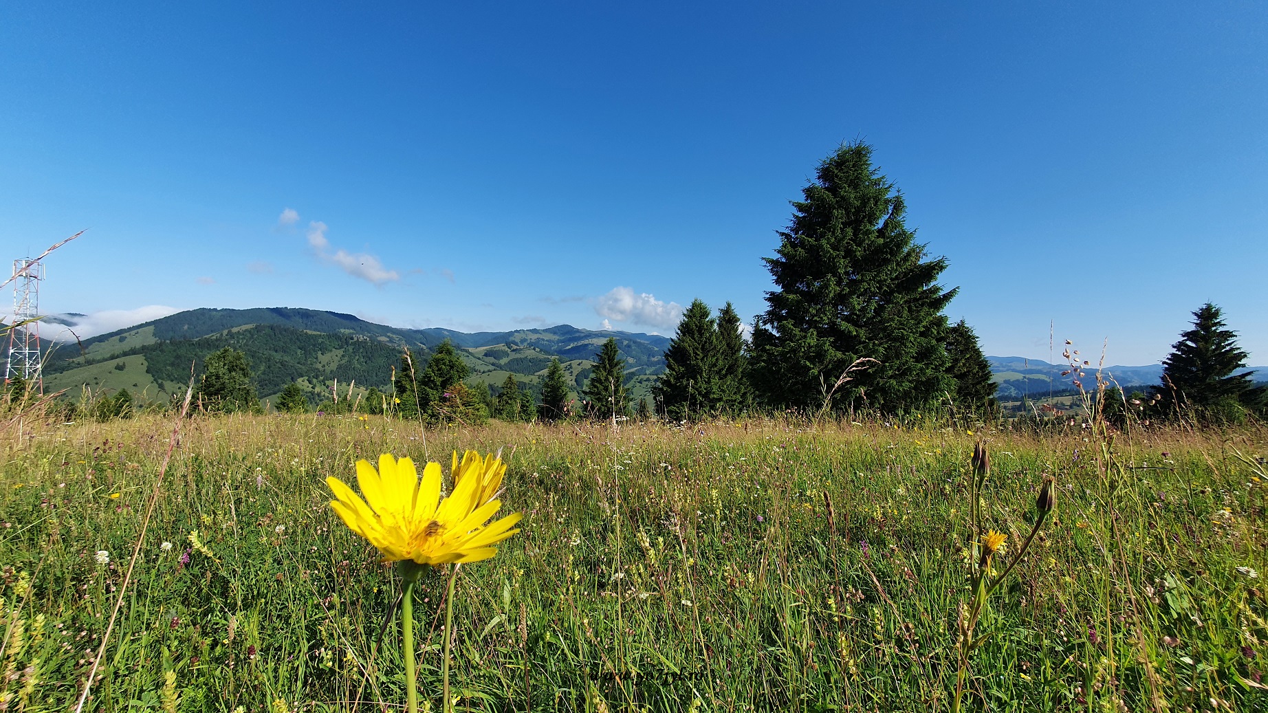 Drum de vară prin România... un pic altfel