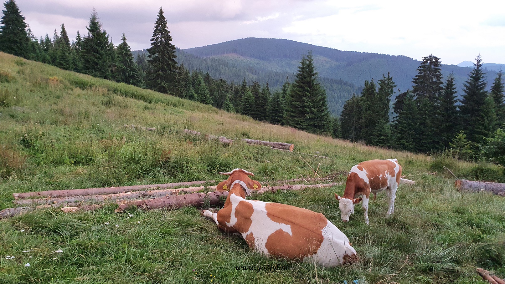Drum de vară prin România... un pic altfel
