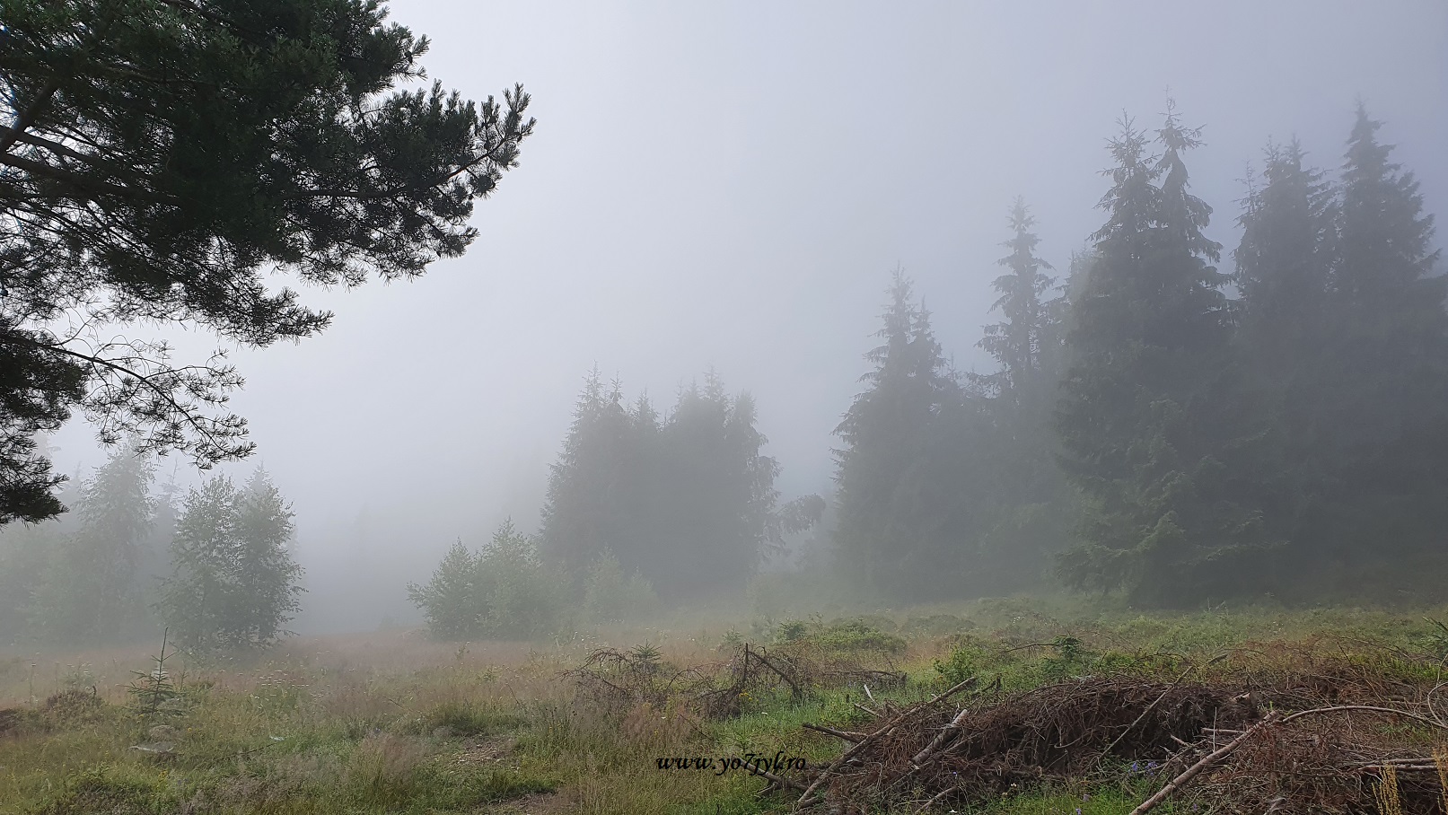 Drum de vară prin România... un pic altfel