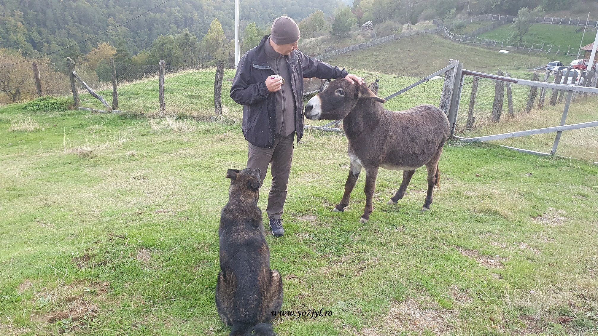 O zi de toamnă pe Drumul Regelui