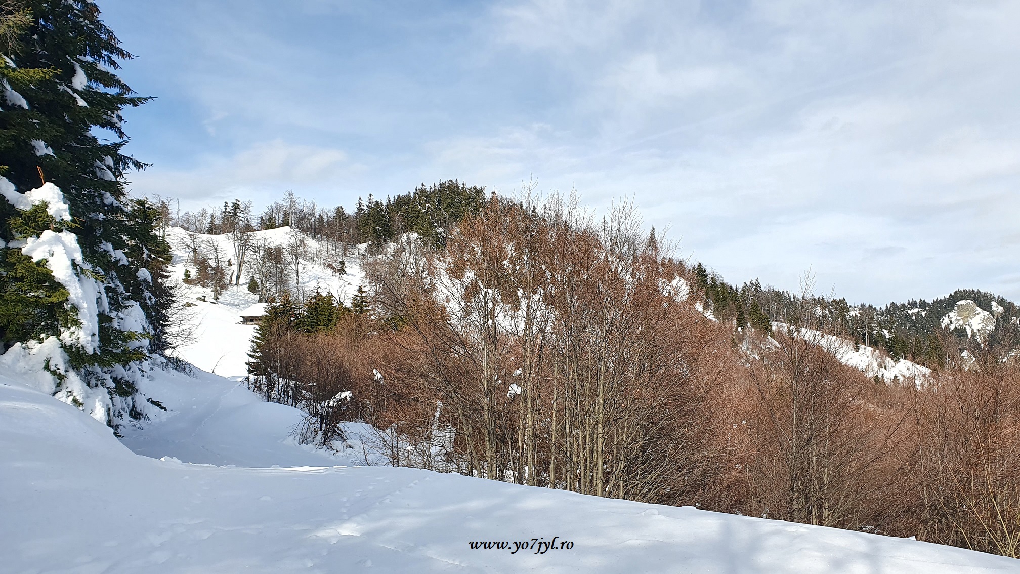 Imagini de ianuarie din Masivul Cozia
