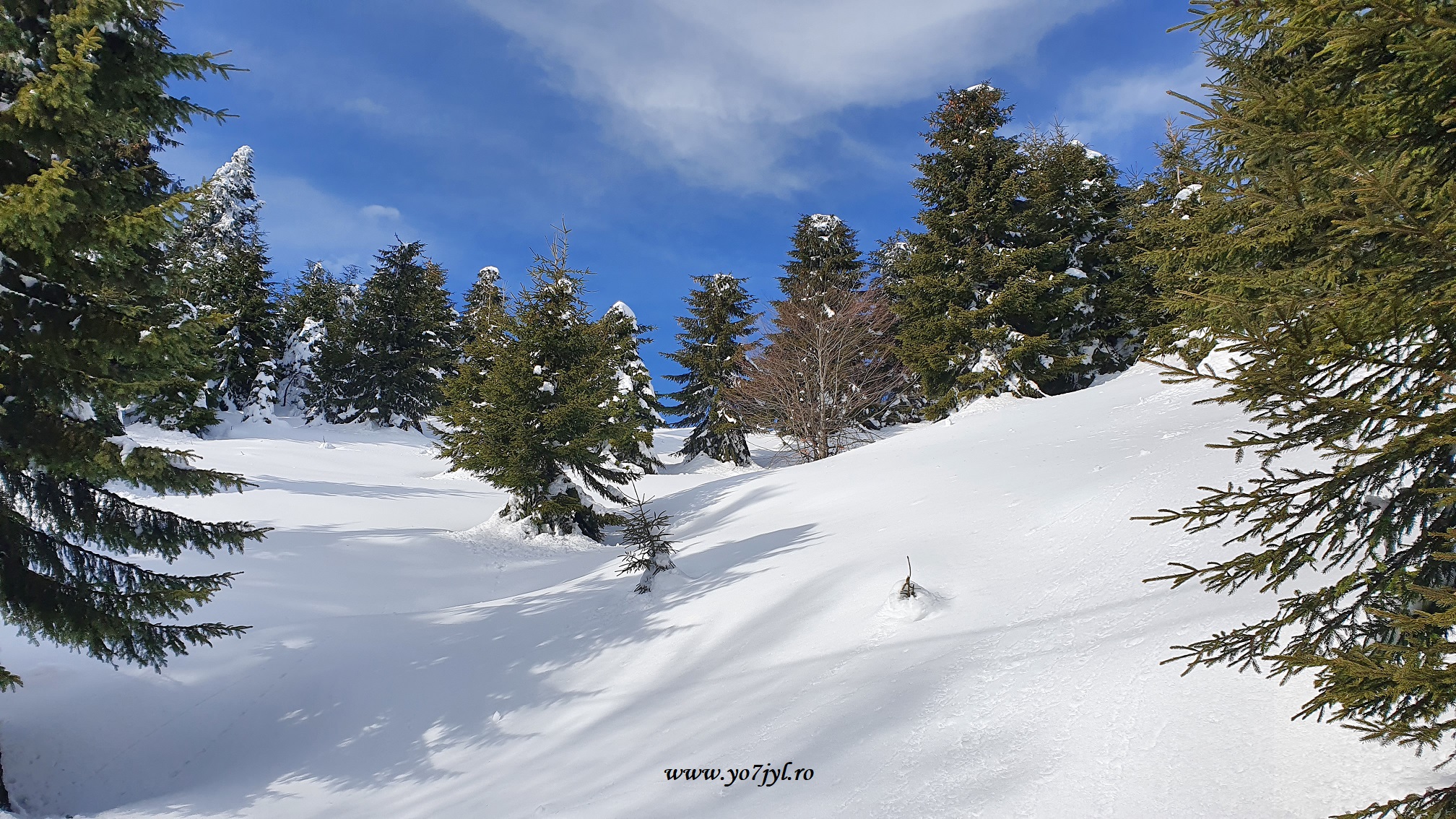 Imagini de ianuarie din Masivul Cozia