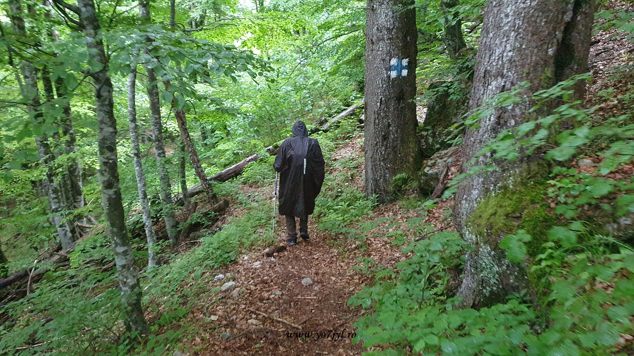 Capriciile vremii dintr-o vară în Munții Bucegi