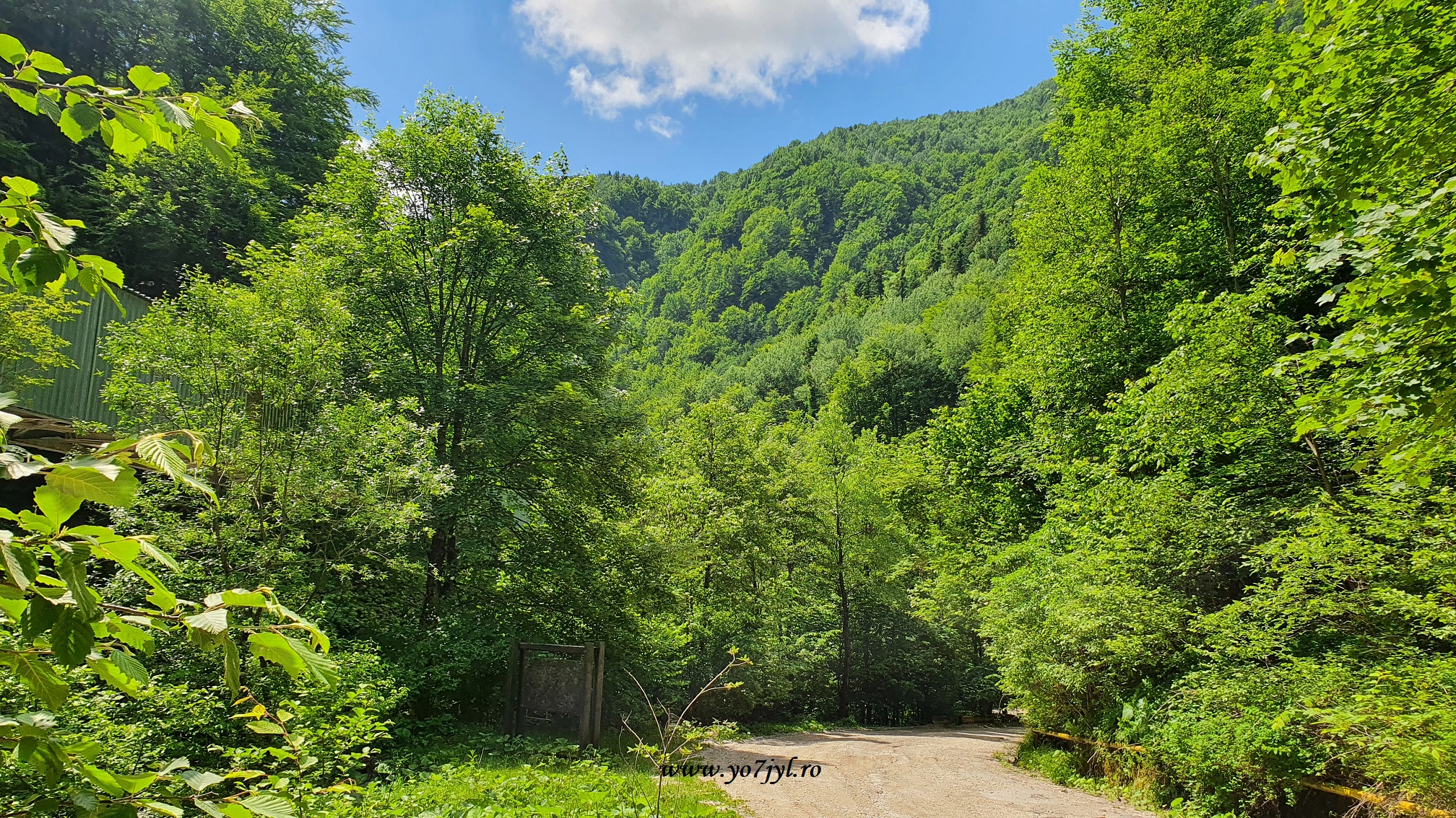 Capriciile vremii dintr-o vară în Munții Bucegi