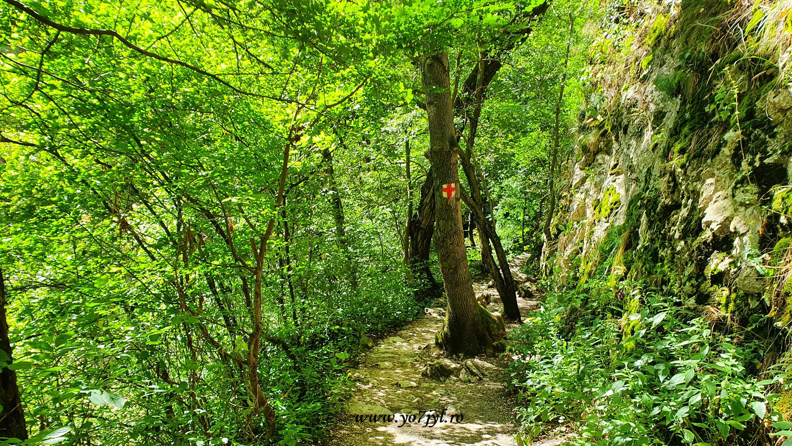 Vacanță prin România - Natură și trecut în Transilvania