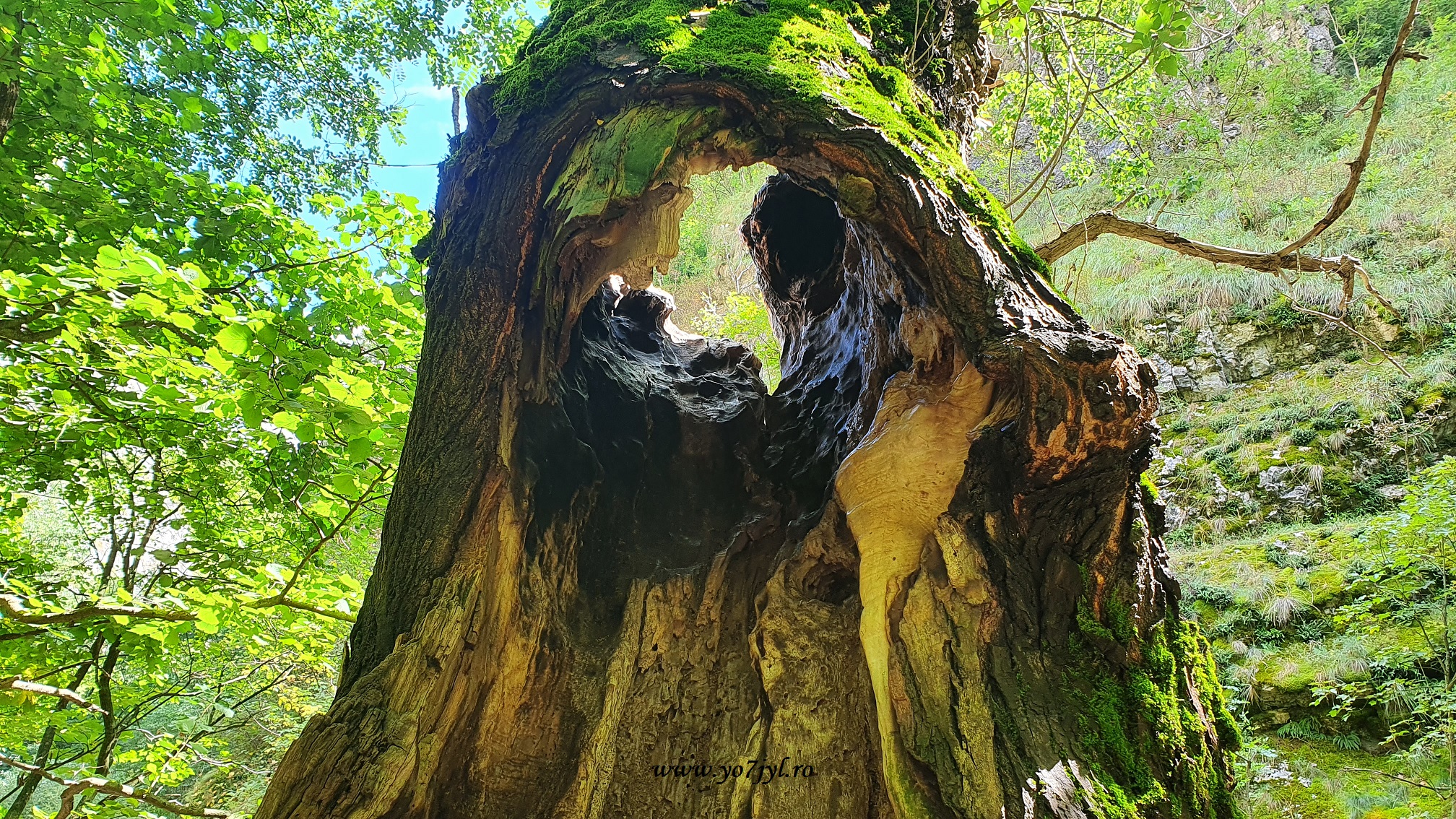 Vacanță prin România - Natură și trecut în Transilvania
