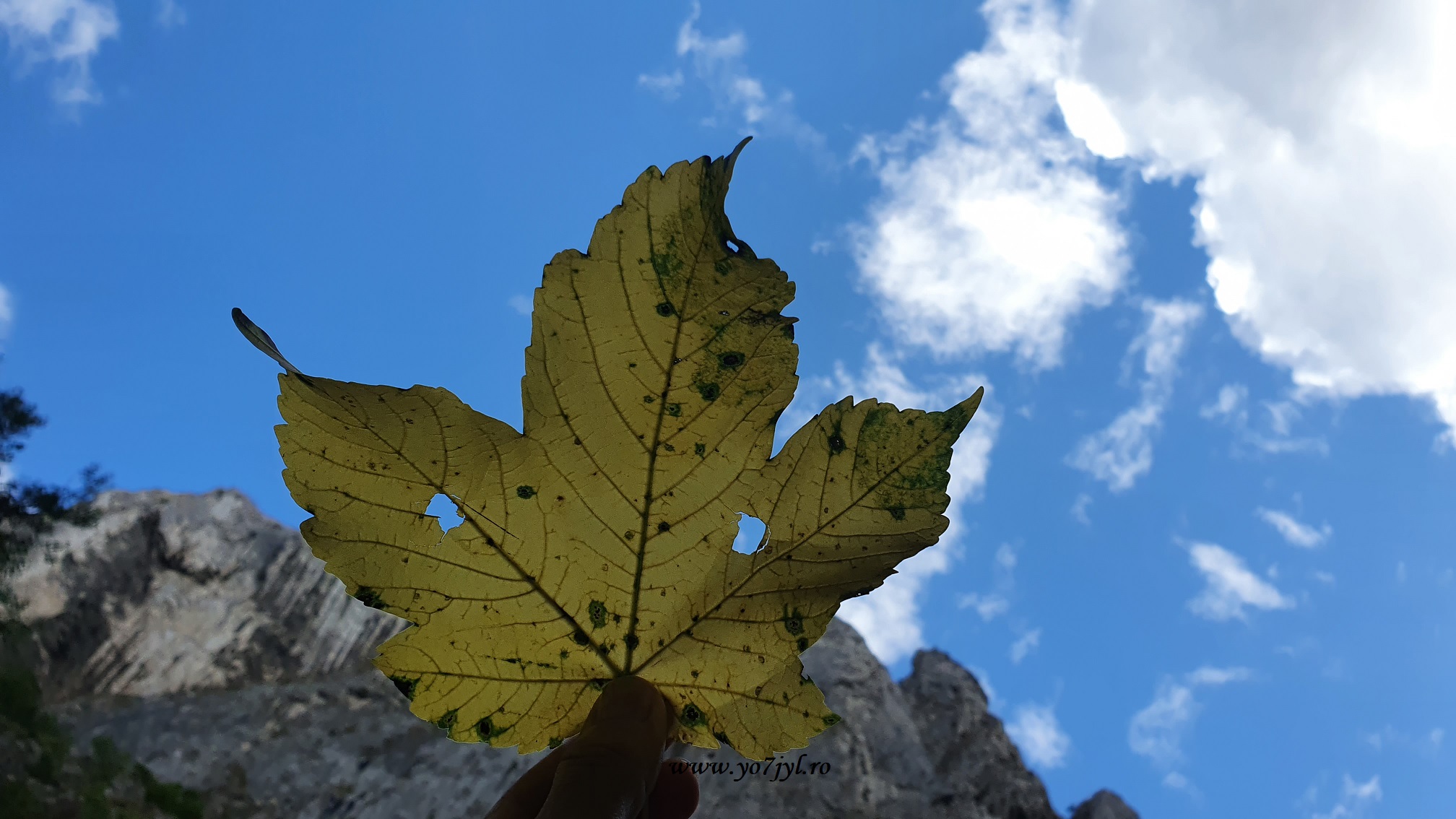 Vacanță prin România - Natură și trecut în Transilvania