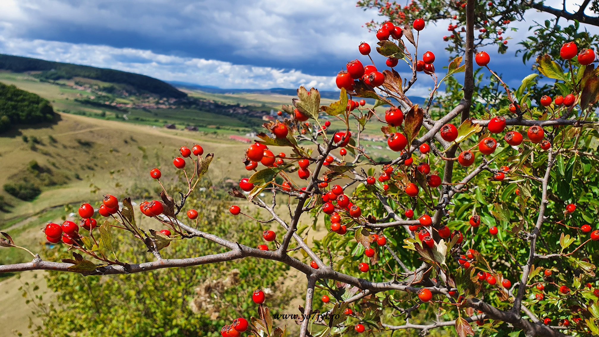 Vacanță prin România - Natură și trecut în Transilvania