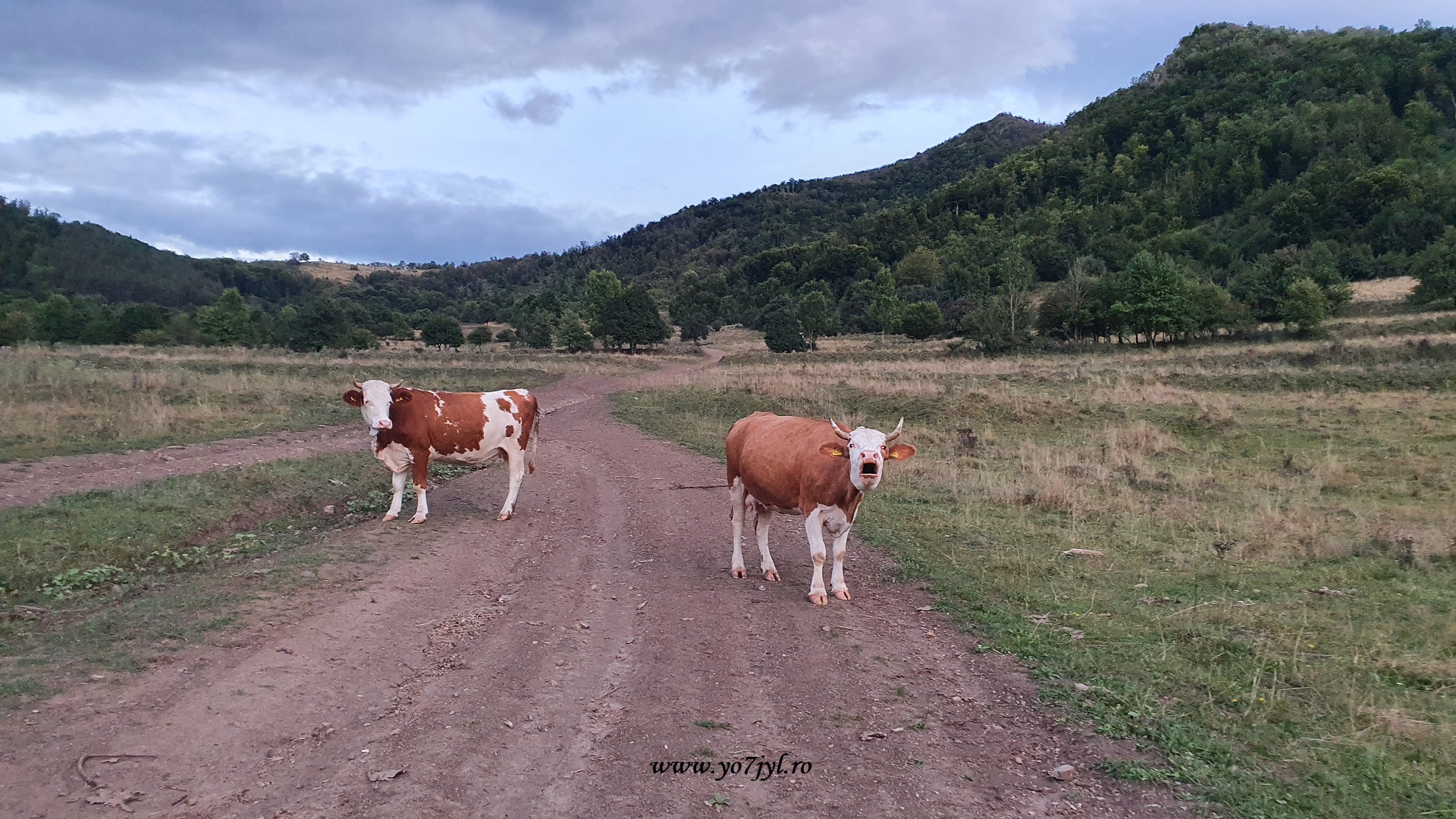 Vacanță prin România - Natură și trecut în Transilvania