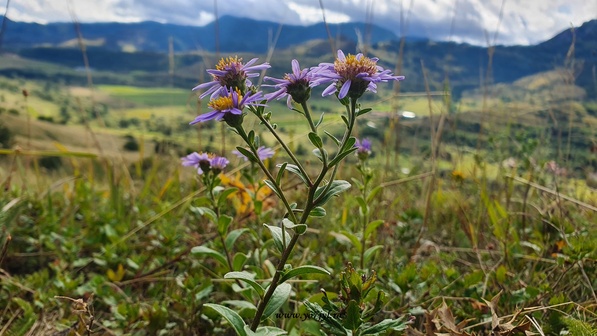 Vacanță prin România - Natură și trecut în Transilvania