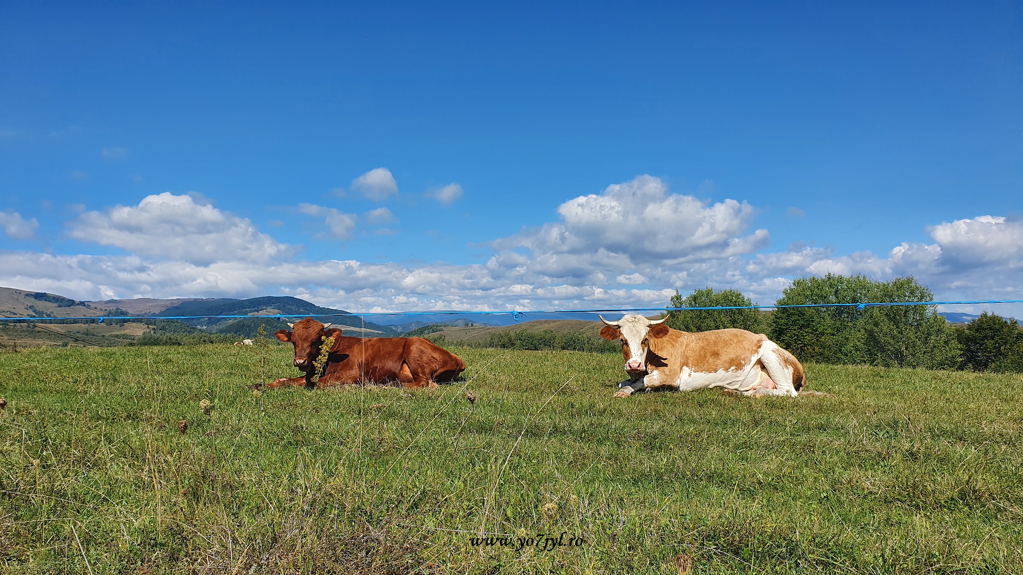 Vacanță prin România - Natură și trecut în Transilvania