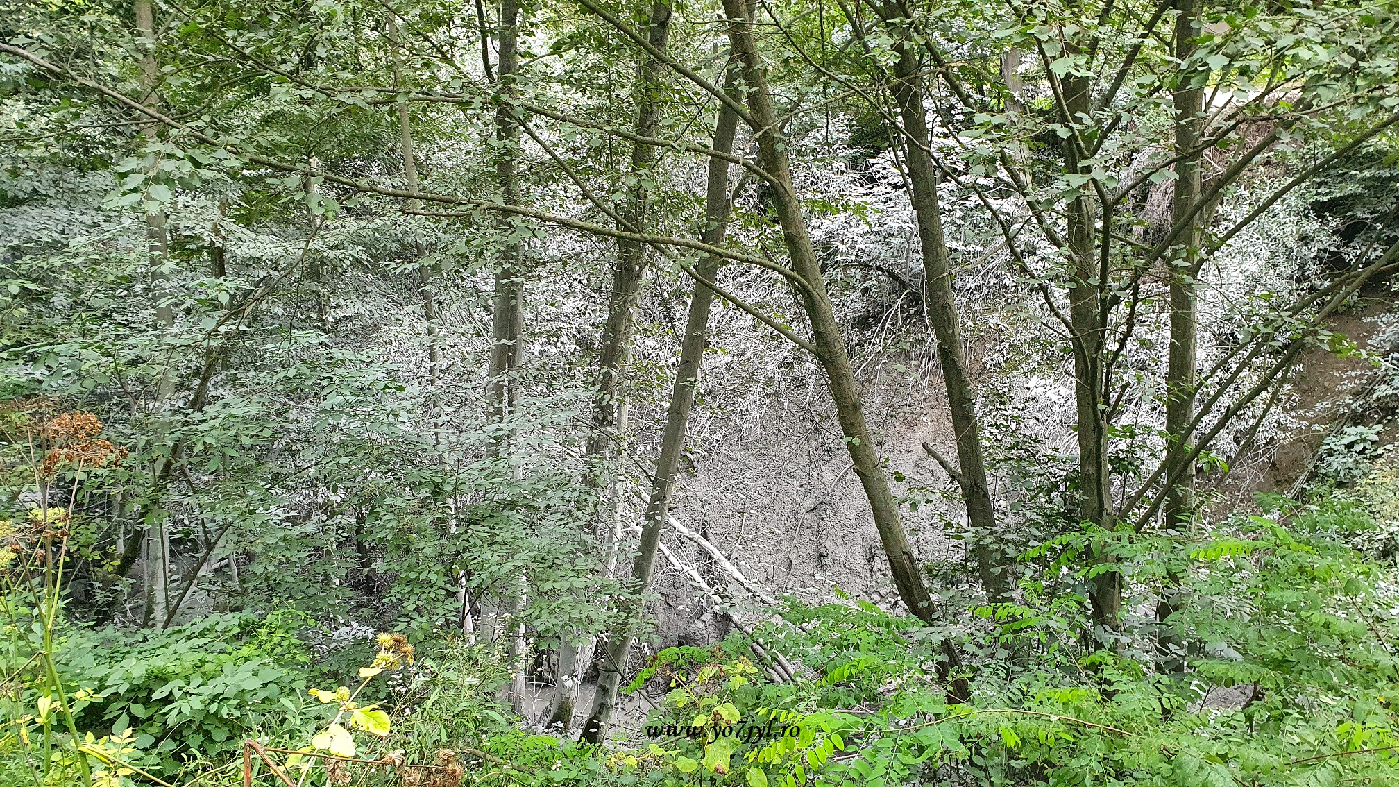 Vacanță prin România - Natură și trecut în Transilvania