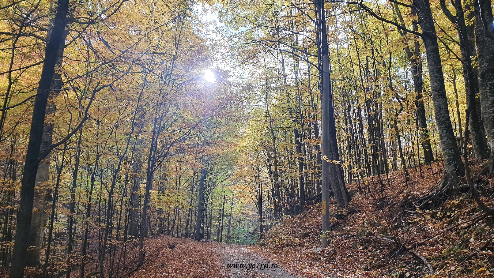 La pas printre flăcările toamnei