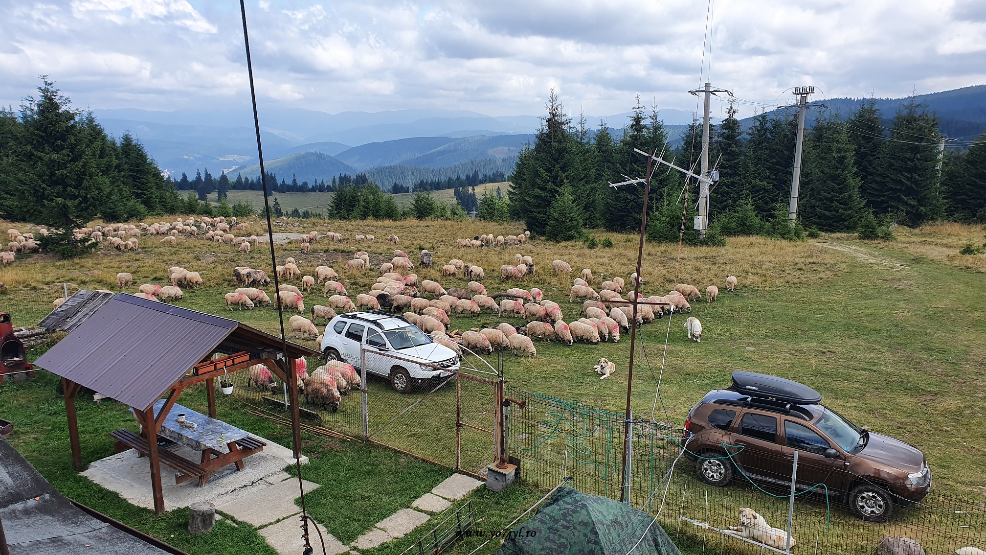 439.100 Mhz sau Repetor RoLink pe Vf. Teasc-Borsec
