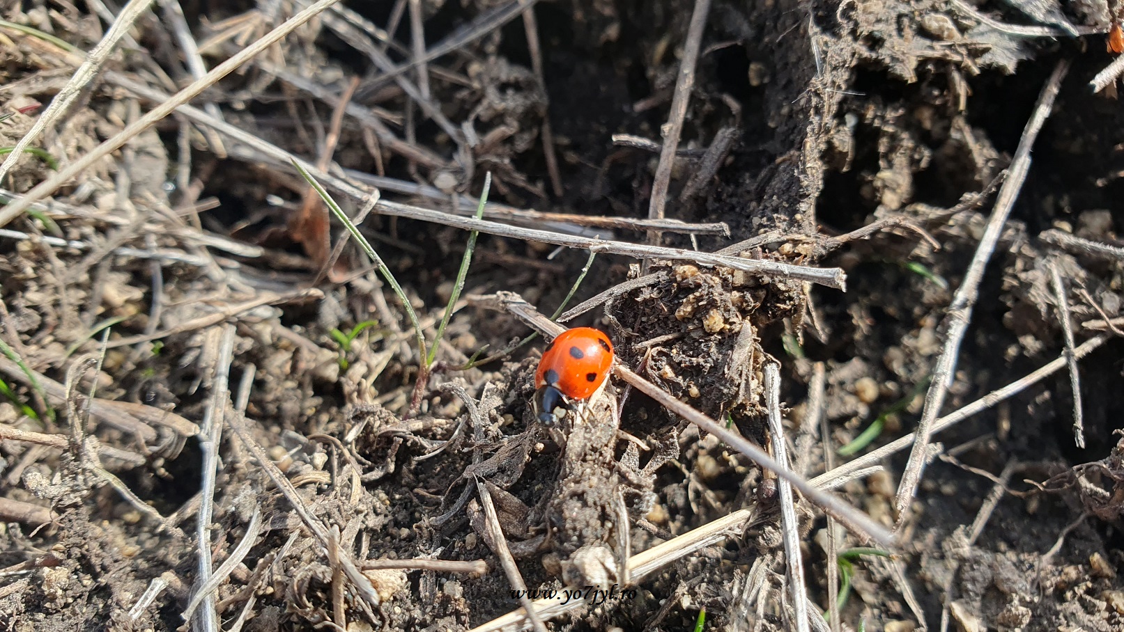 Cam așa a fost... prin Moldova din dreapta Prutului