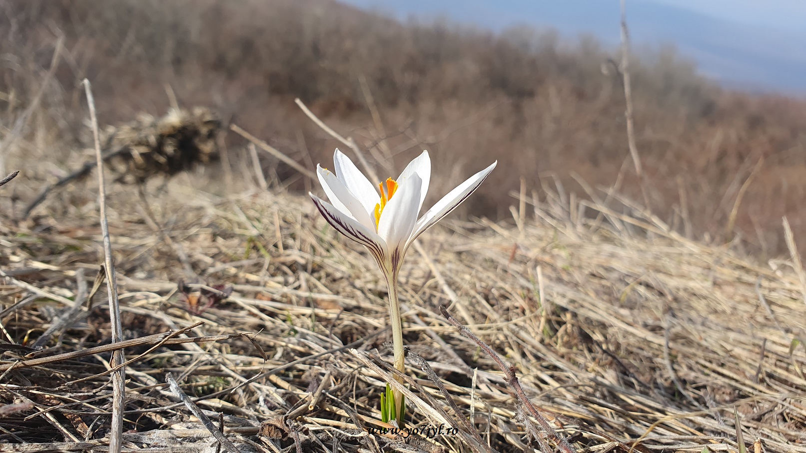 Cam așa a fost... prin Moldova din dreapta Prutului