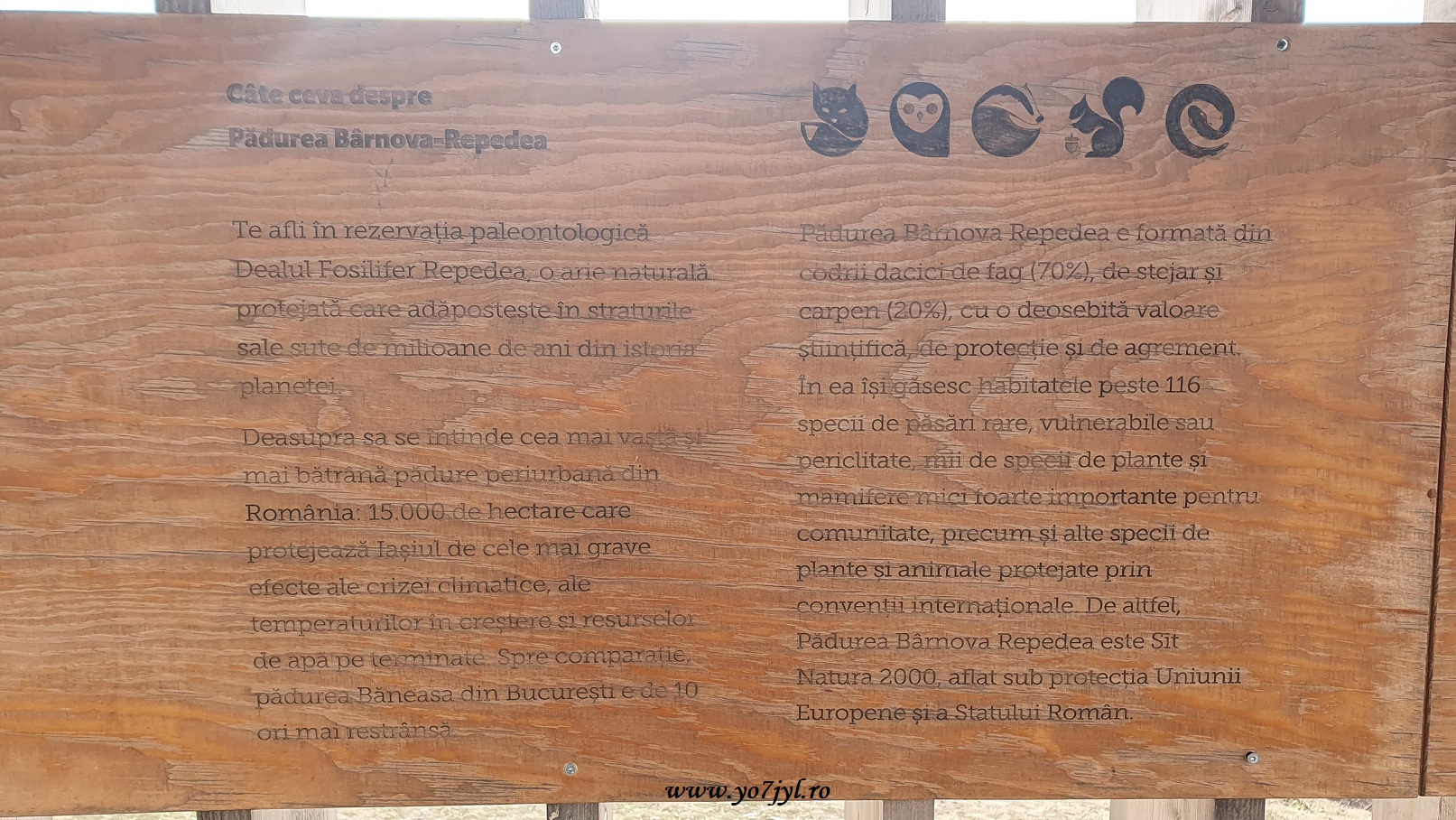 Cam așa a fost... prin Moldova din dreapta Prutului