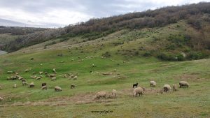 Sărbătoarea Învierii lângă țărmul Mării Negre