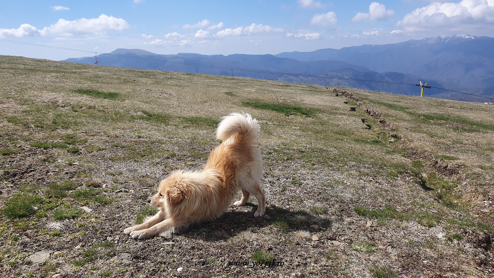 De 1 Mai prin Munții Parâng