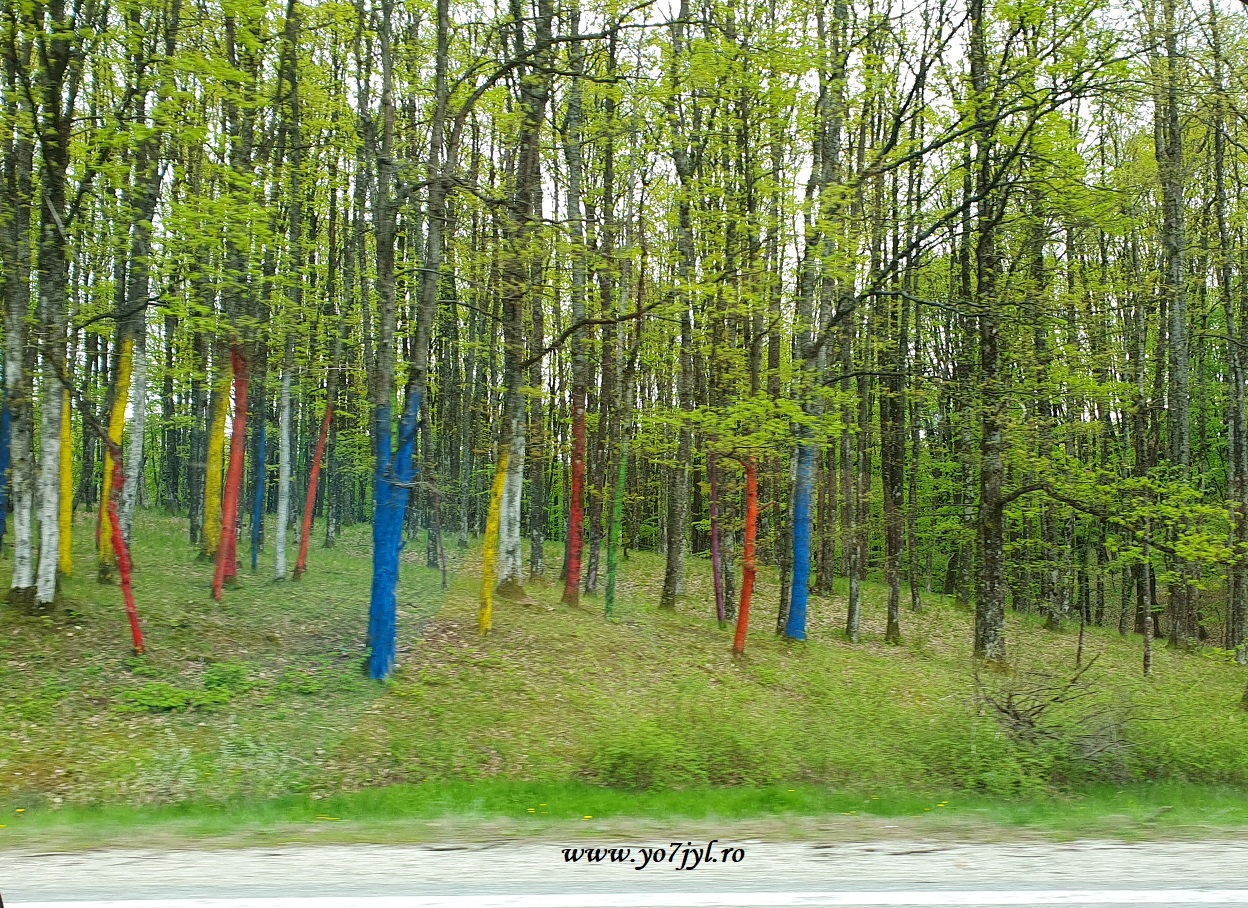 De 1 Mai prin Munții Parâng