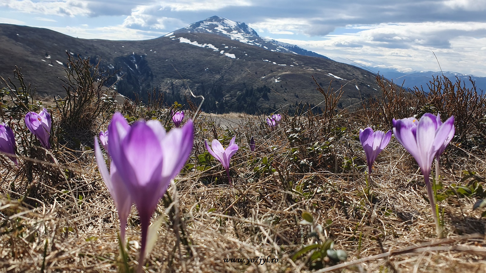De 1 Mai prin Munții Parâng