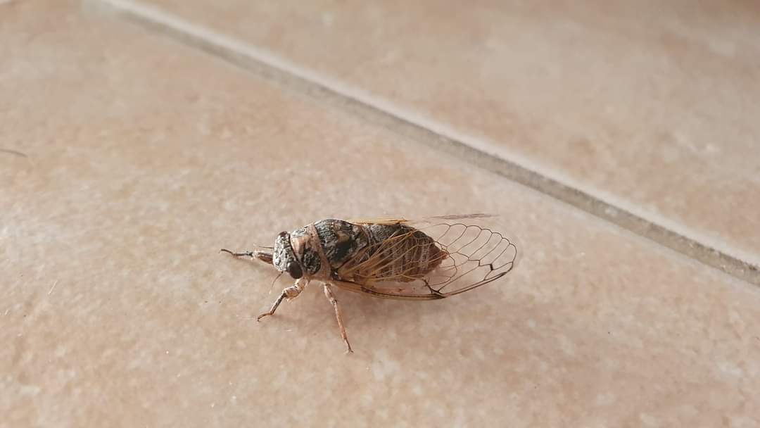 Insula Samothraki – O piramidă vulcanică din Marea Egee