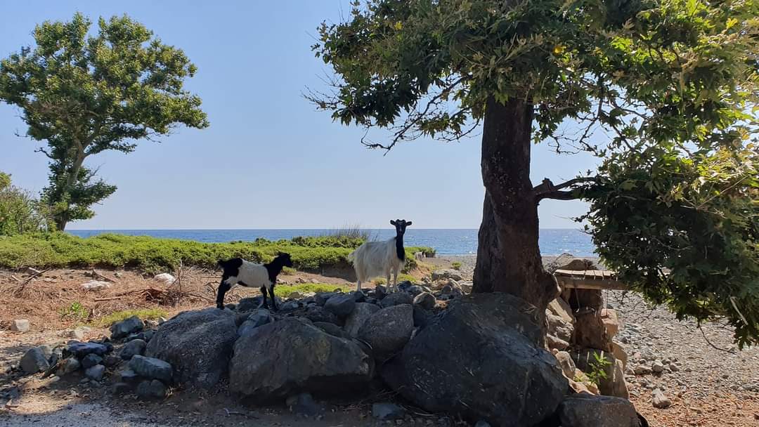 Insula Samothraki – O piramidă vulcanică din Marea Egee