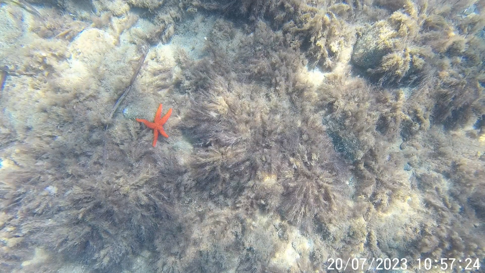 Insula Samothraki – O piramidă vulcanică din Marea Egee