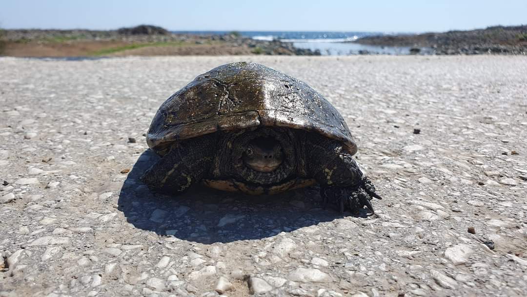 Insula Samothraki – O piramidă vulcanică din Marea Egee