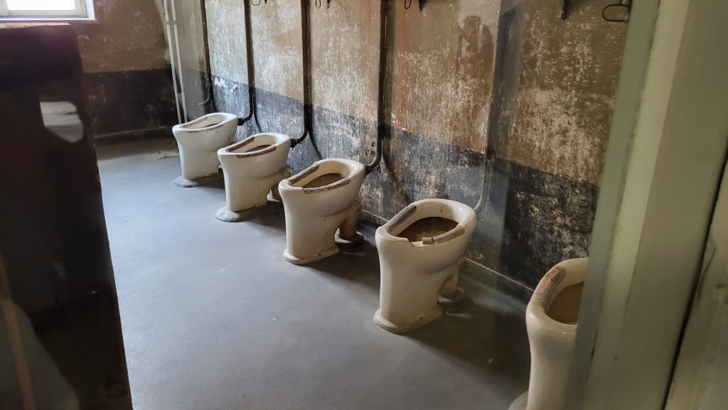 O zi la Auschwitz