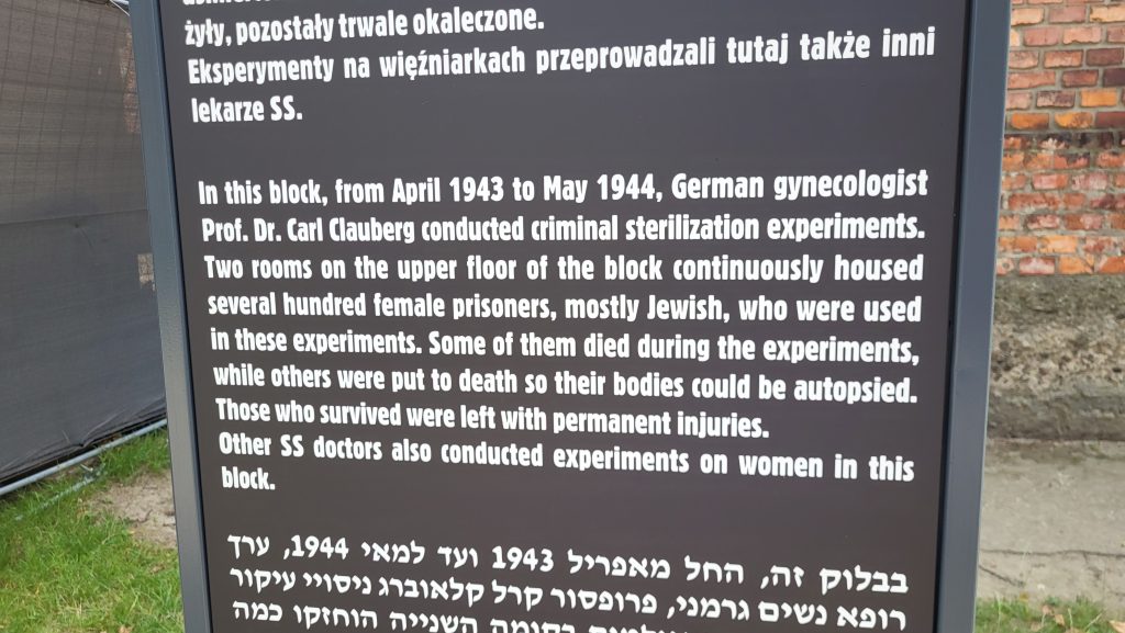 O zi la Auschwitz