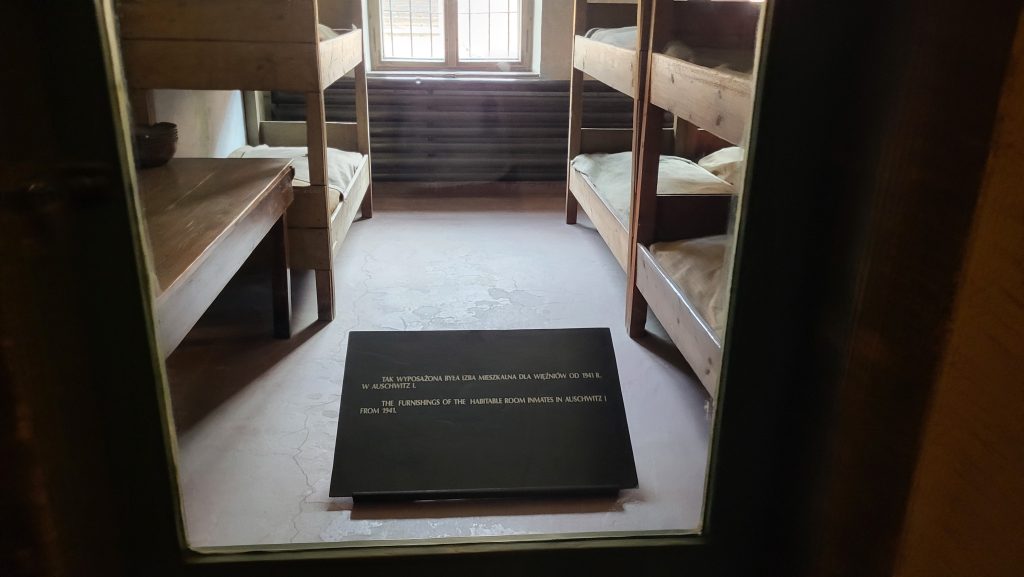 O zi la Auschwitz