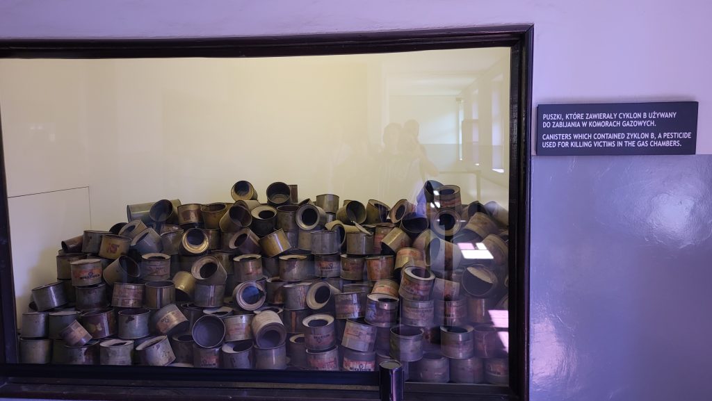 O zi la Auschwitz