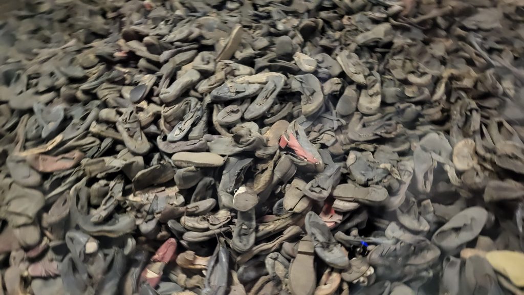 O zi la Auschwitz