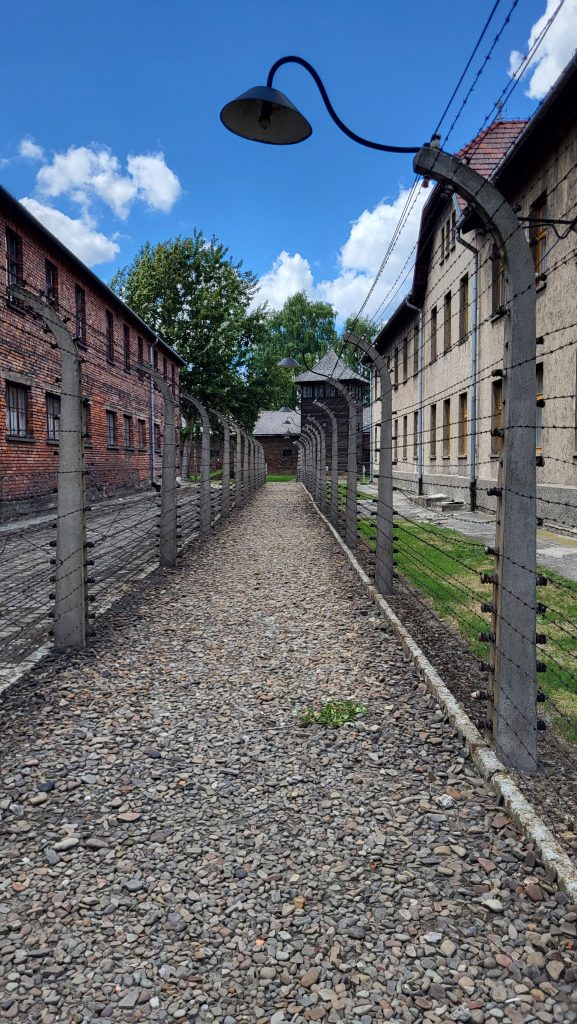 O zi la Auschwitz