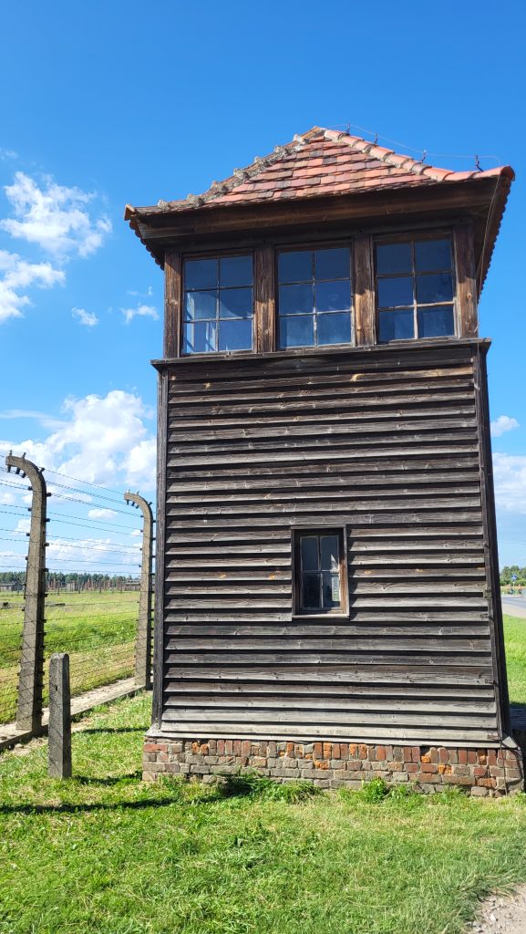 O zi la Auschwitz