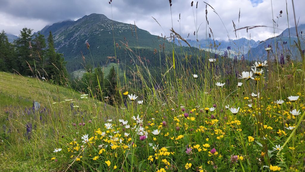 Prima vară în Munții Tatra-Slovacia