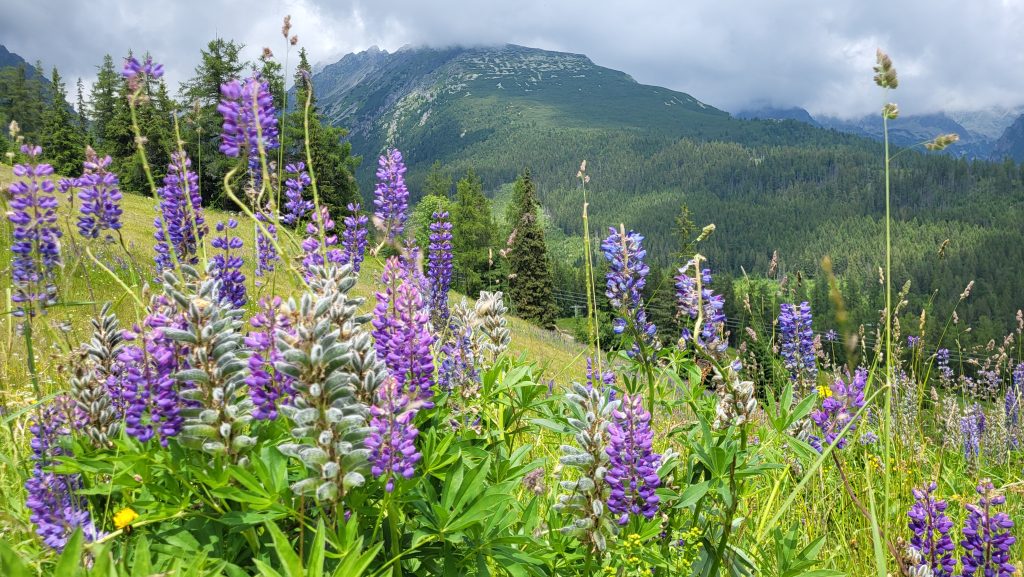 Prima vară în Munții Tatra-Slovacia