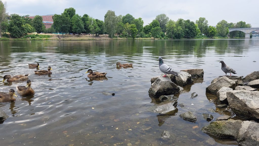 Turiști la pas pe străzile din Praga